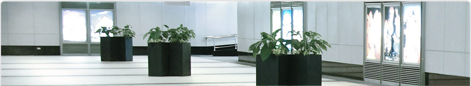 IPM Janitorial